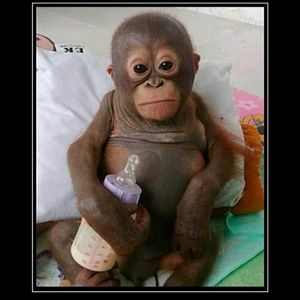 Meet your Posher, Sheneqwa